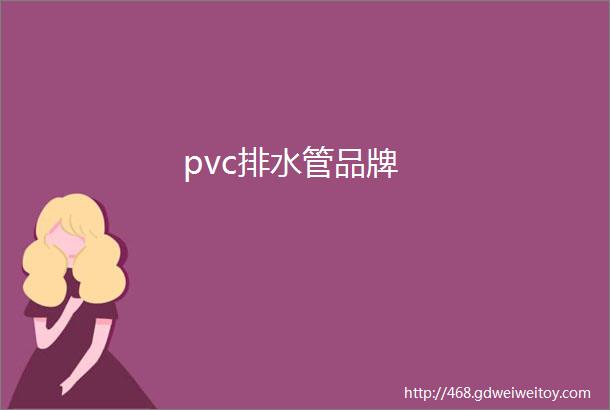 pvc排水管品牌